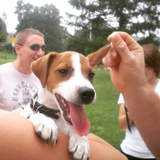 Seymour being held at the park, big smile