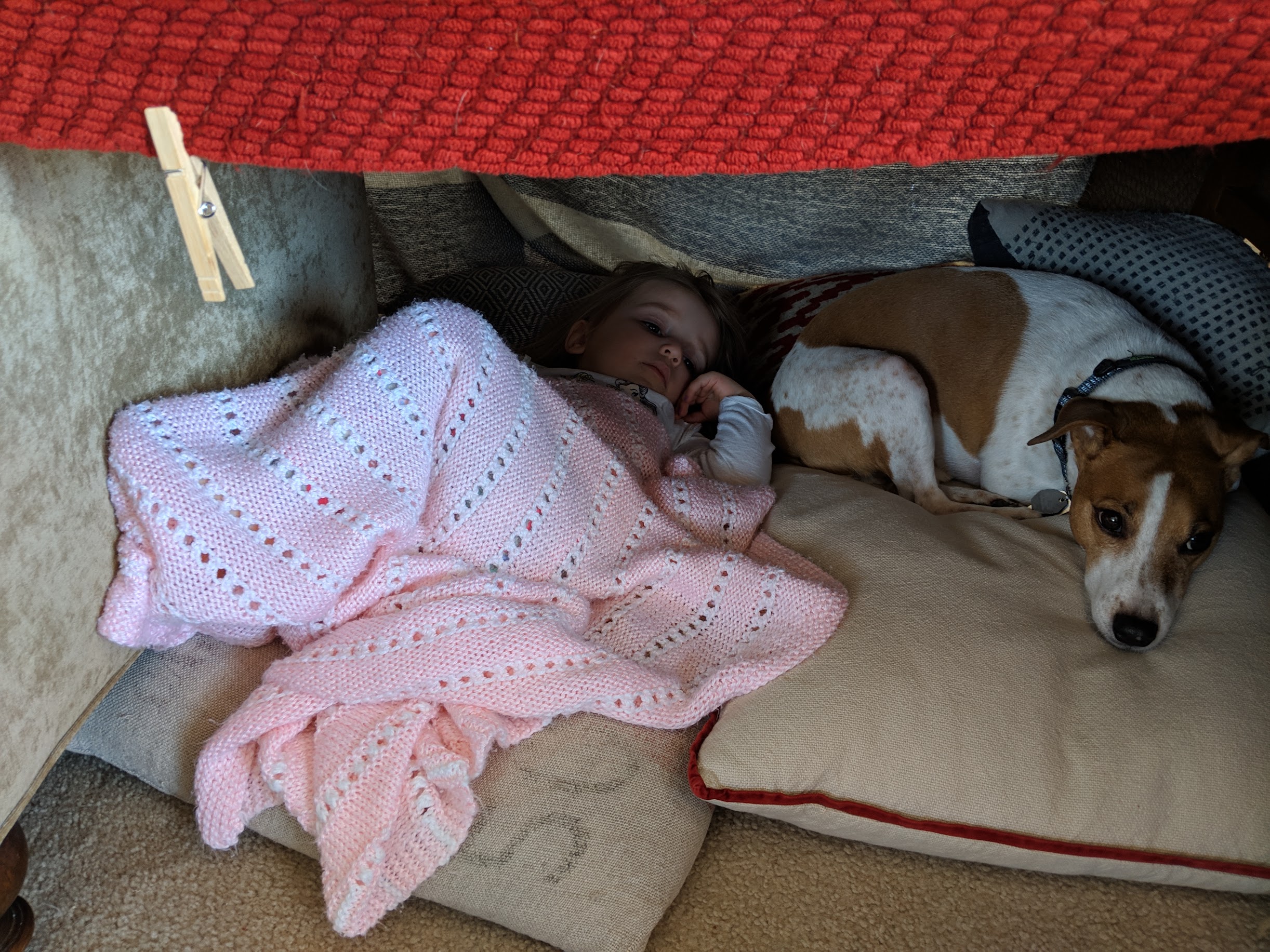 Seymour and a toddler snuggled together in a blanket fort