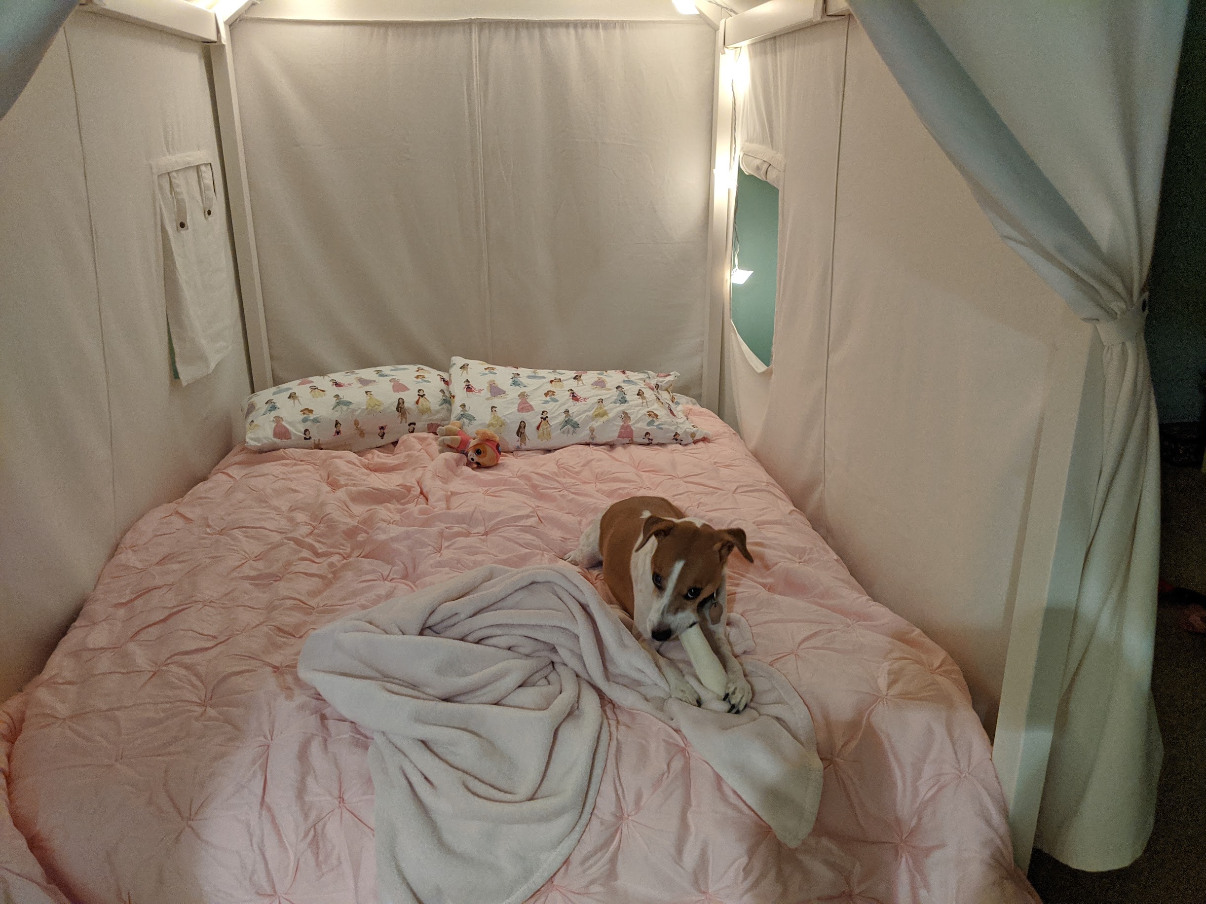 Seymour lounging on a bed in a glamping tent