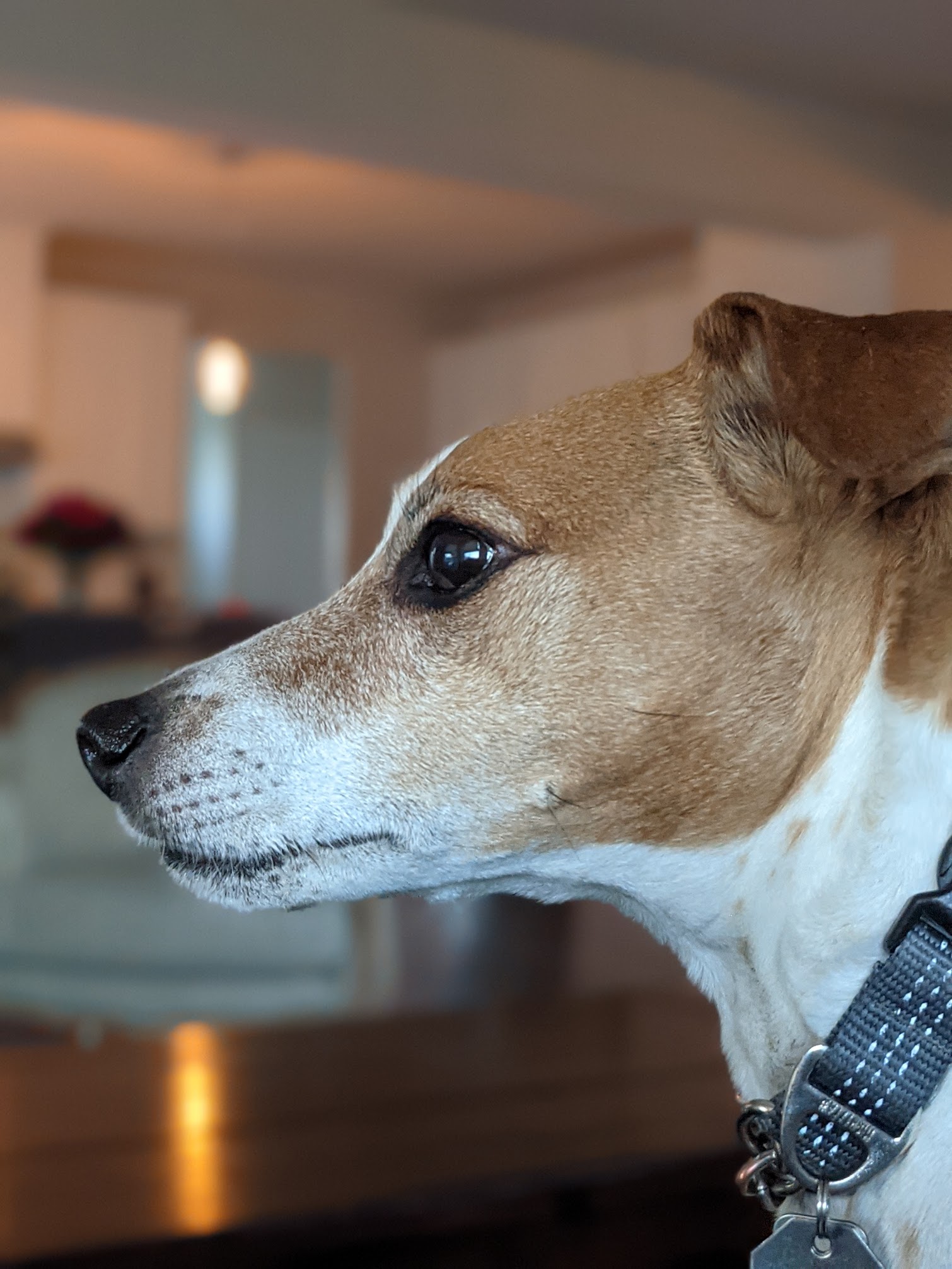 Beautiful side profile portrait of Seymour